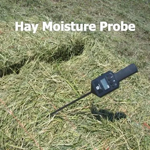 thumbnail for publication: Methods of Forage Moisture Testing